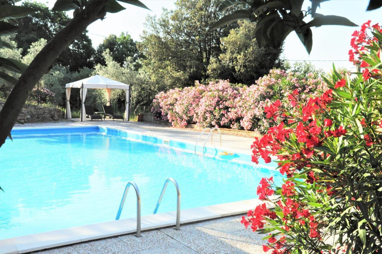 Roccatederighi Agriturismo Pereti מראה חיצוני תמונה