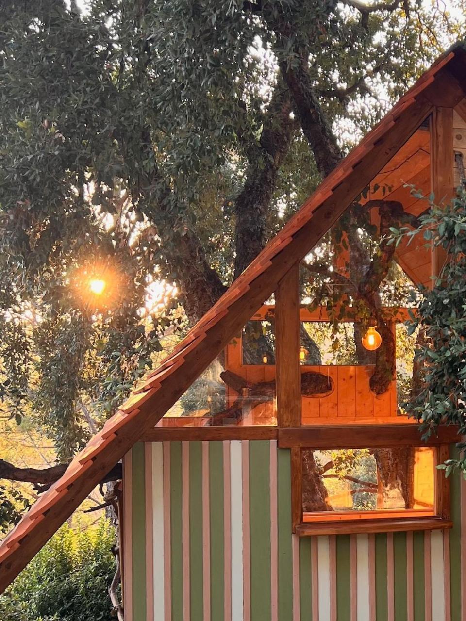 Roccatederighi Agriturismo Pereti מראה חיצוני תמונה