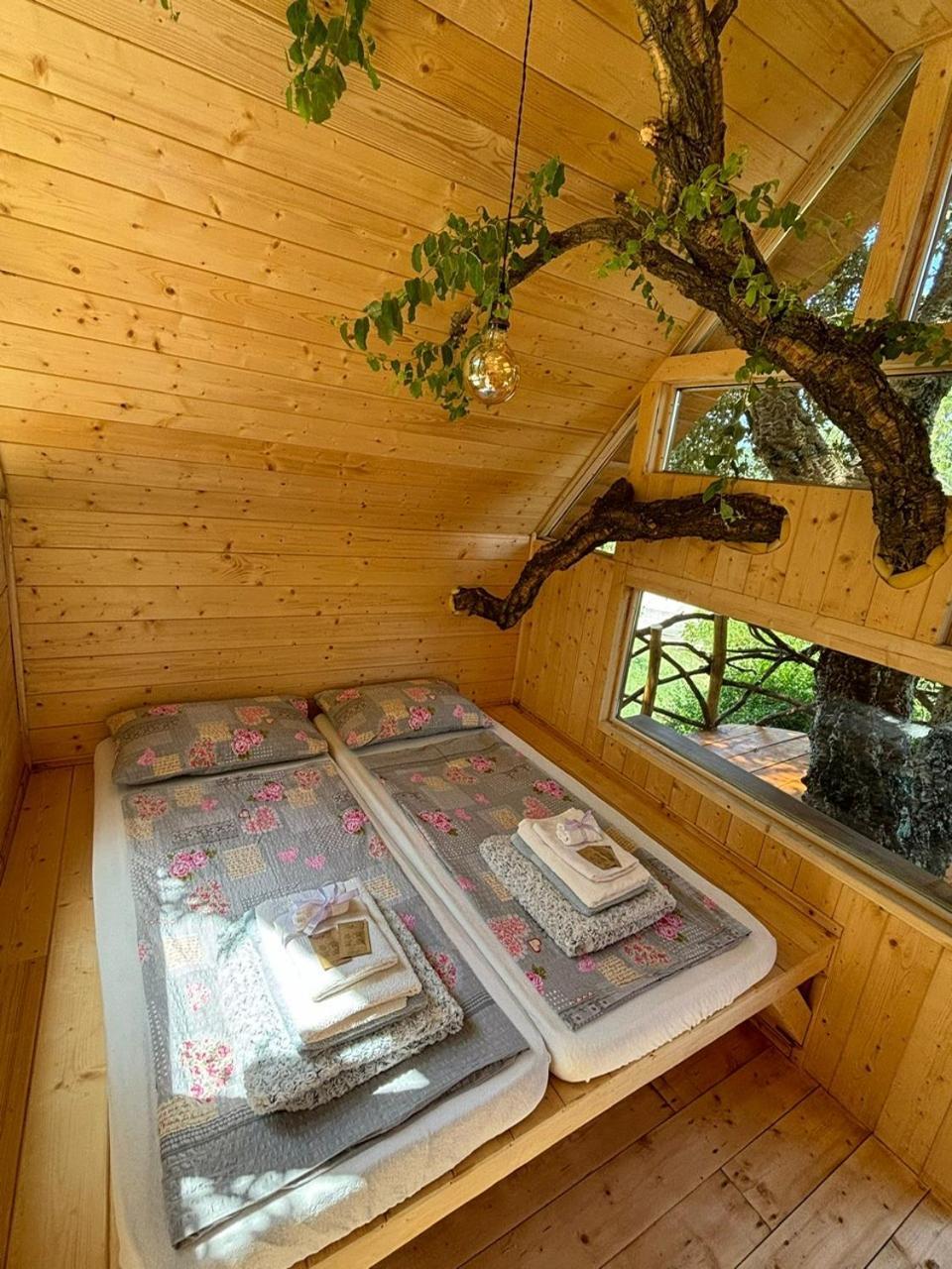 Roccatederighi Agriturismo Pereti מראה חיצוני תמונה