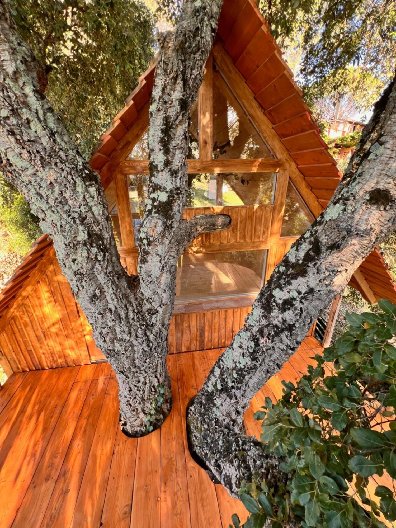 Roccatederighi Agriturismo Pereti מראה חיצוני תמונה