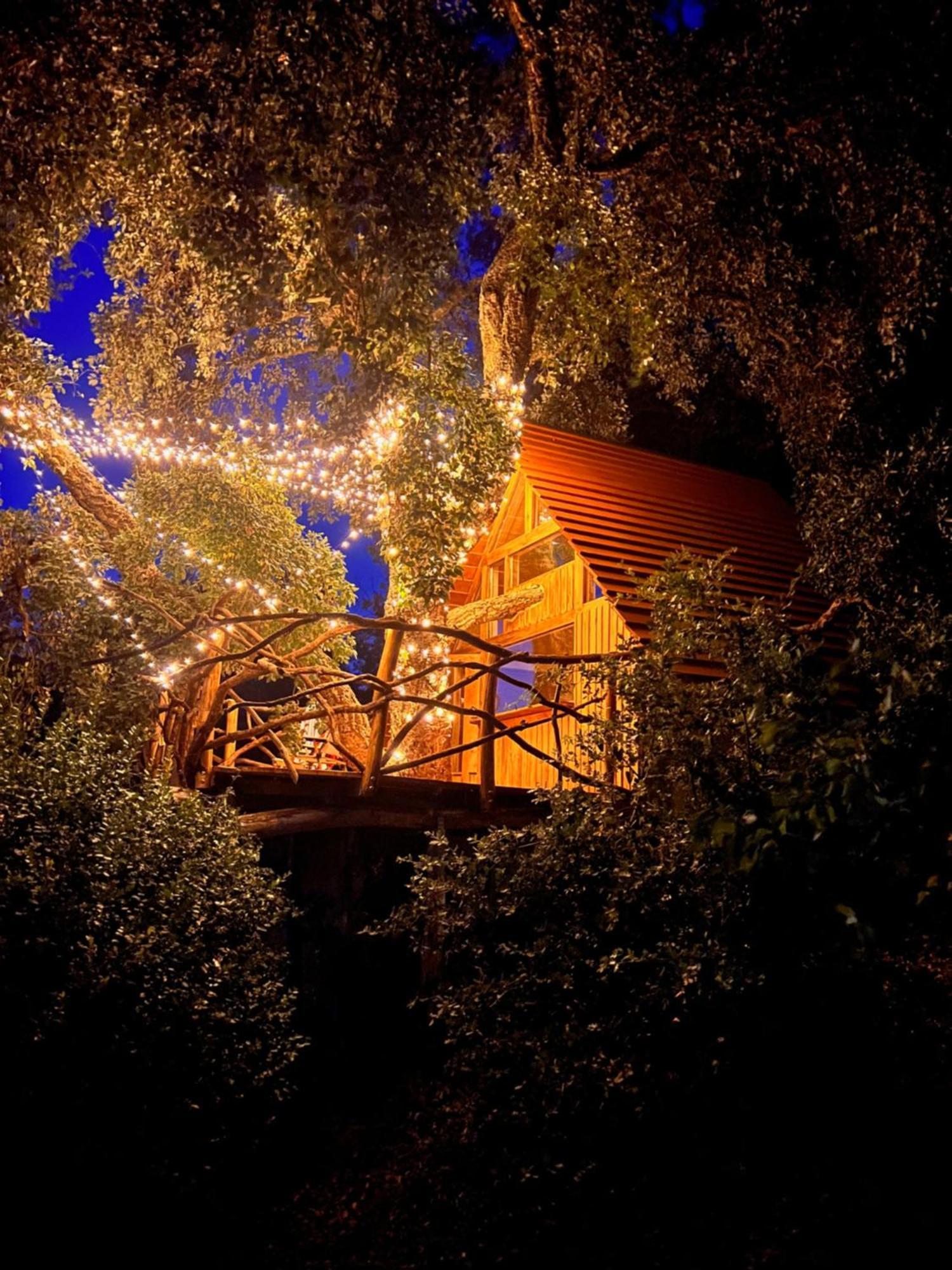 Roccatederighi Agriturismo Pereti מראה חיצוני תמונה